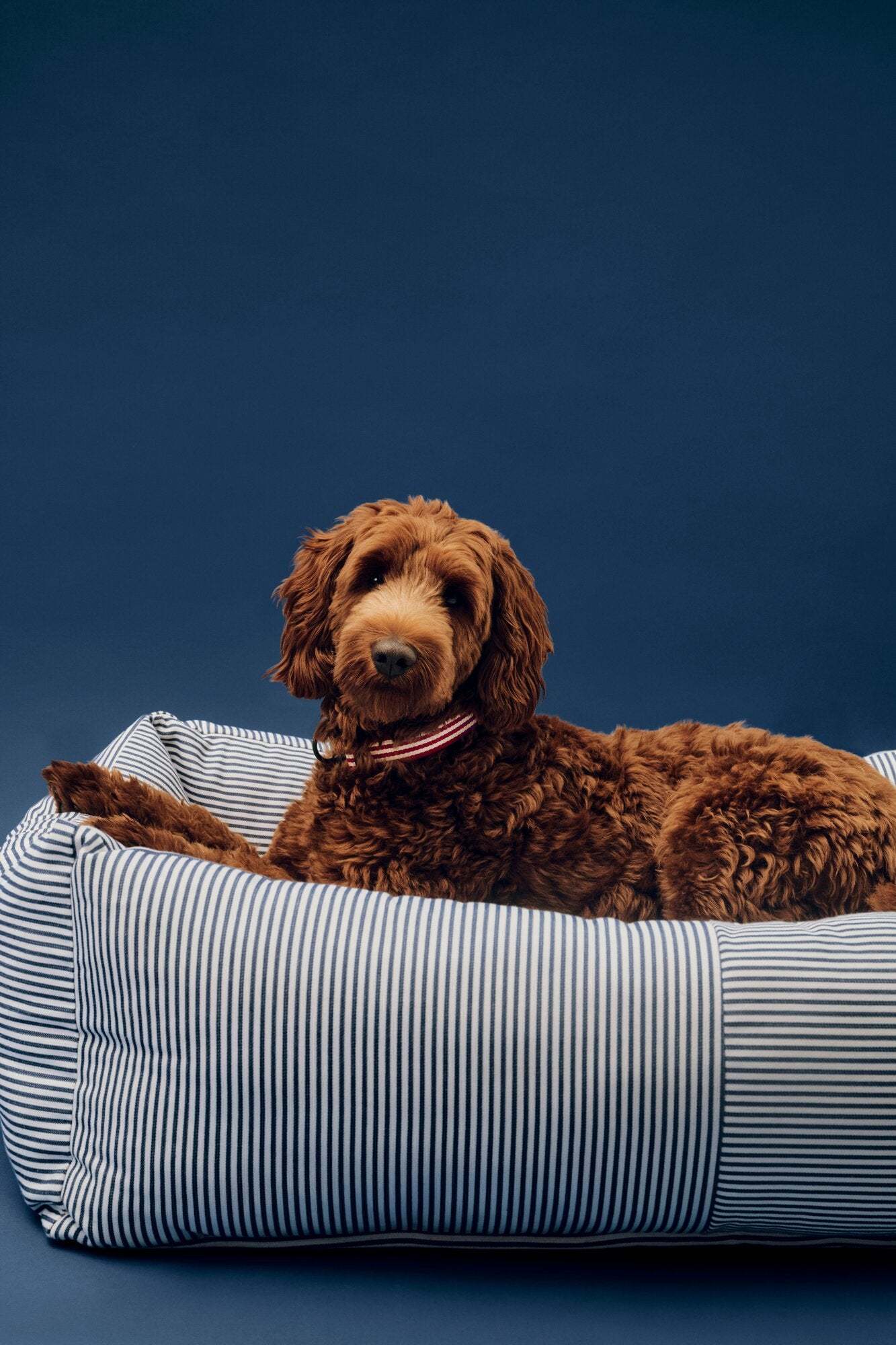 Zip hundekurv, Large - Blue and white stripe