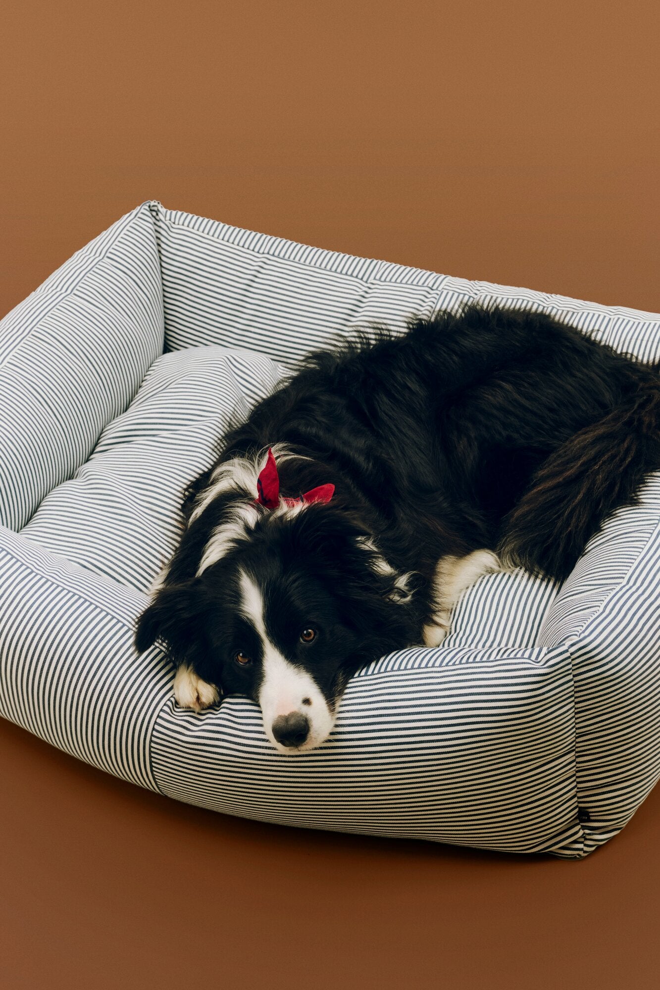 Zip hundekurv, Large - Blue and white stripe