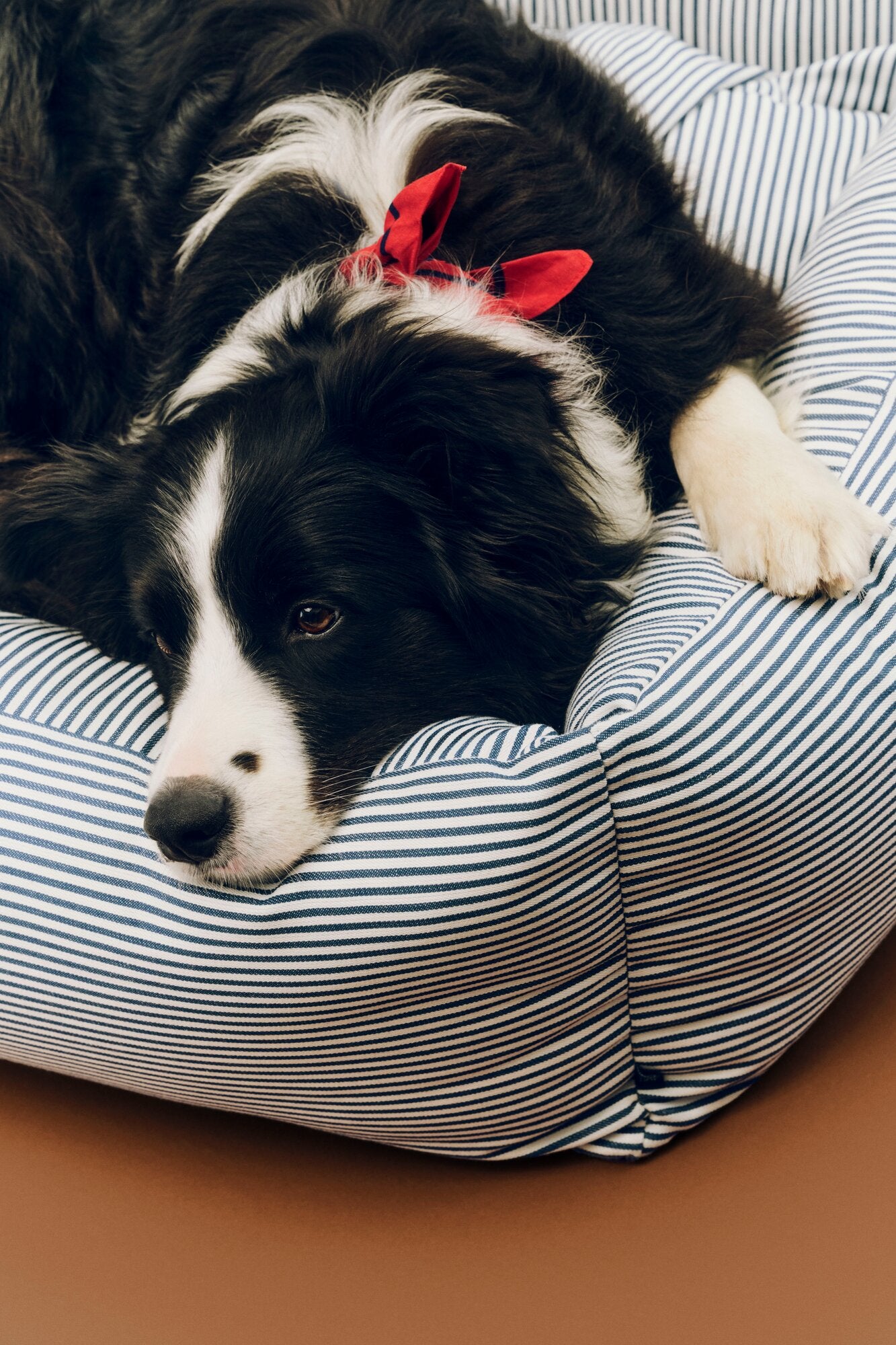 Zip hundekurv, Large - Blue and white stripe