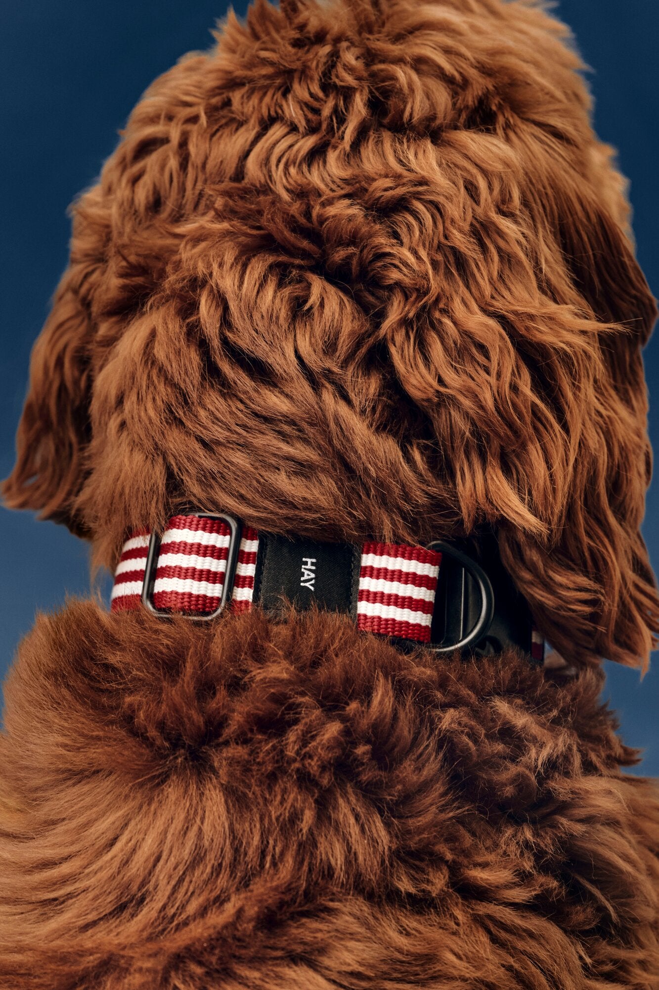 Flat hundehalsbånd - Red and white stripe
