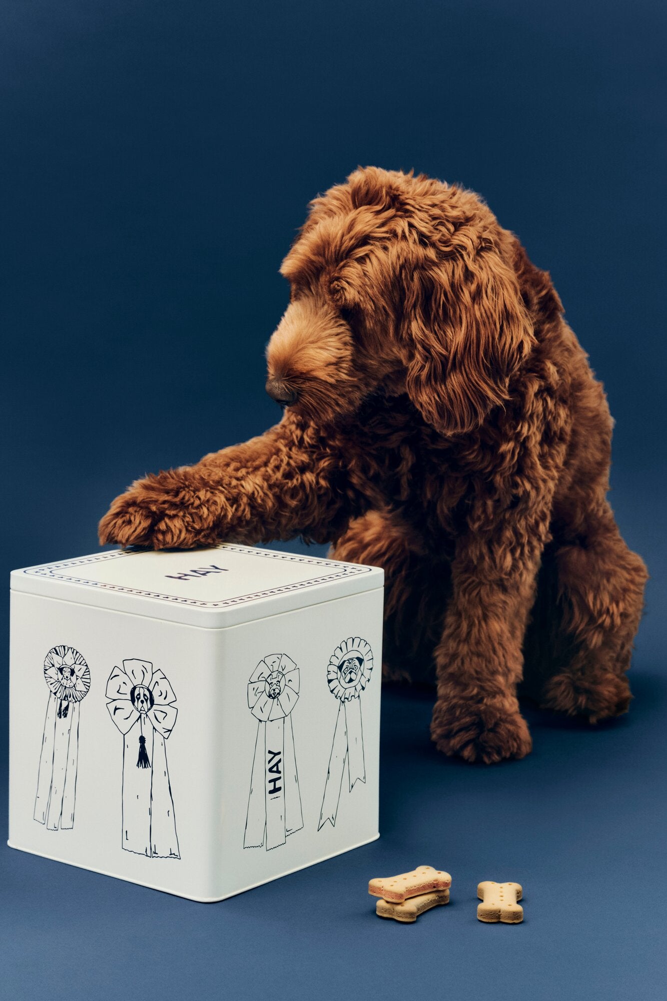 Hundefoder dåse, Large – blå/hvid