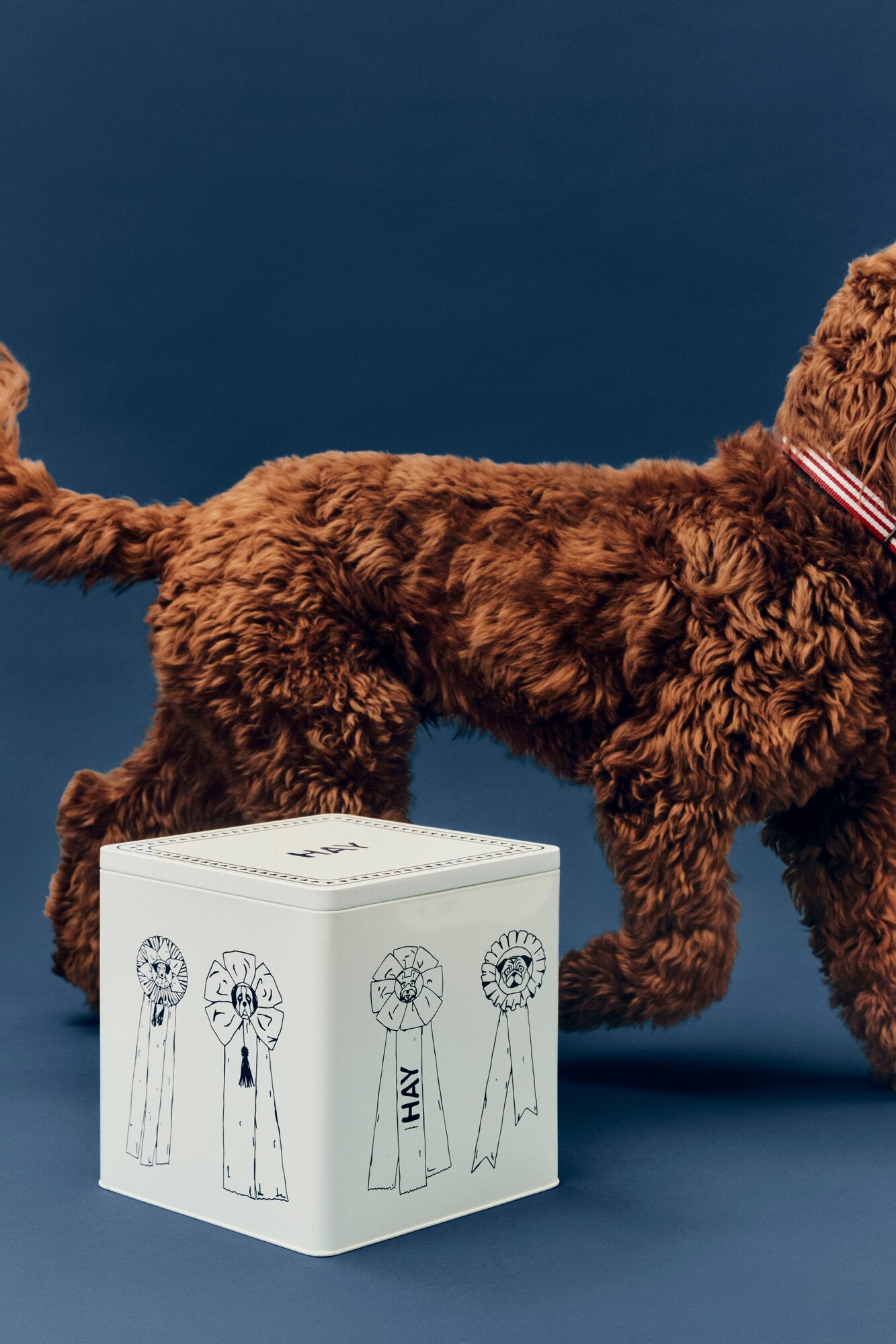 Hundefoder dåse, Large – blå/hvid