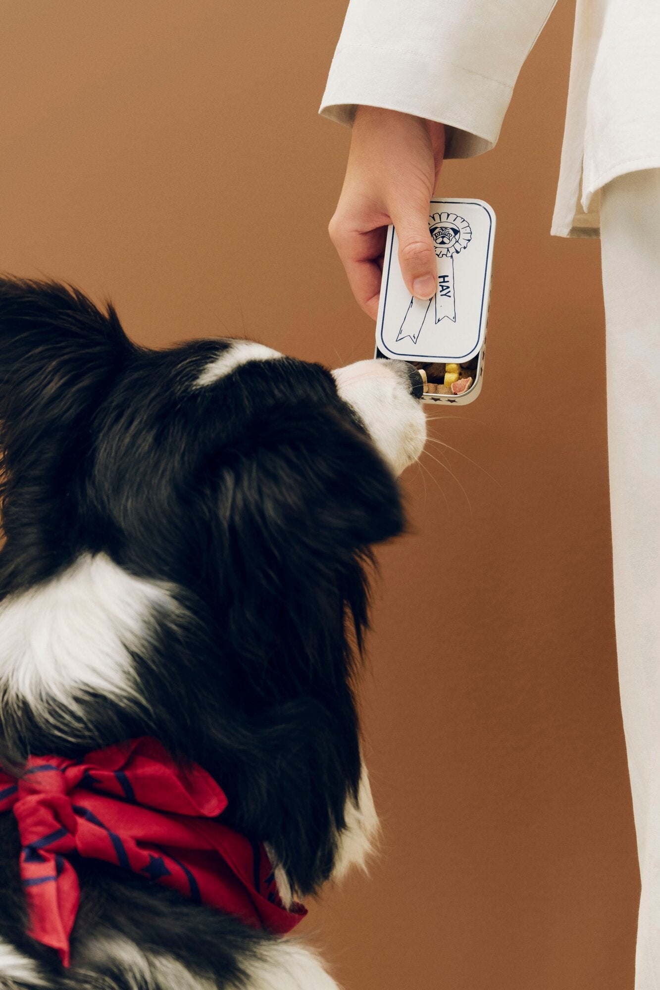 Hundegodbids dåse, Small – blå/hvid