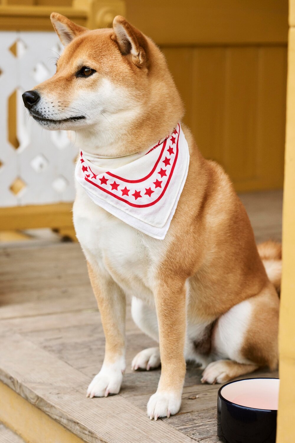 Hundetørklæde - off-white/rød