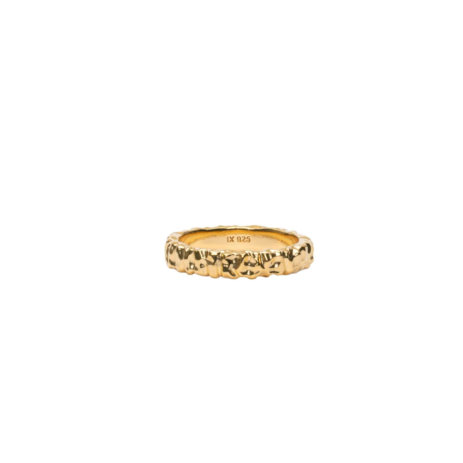 IX Crunchy Class ring - forgyldt