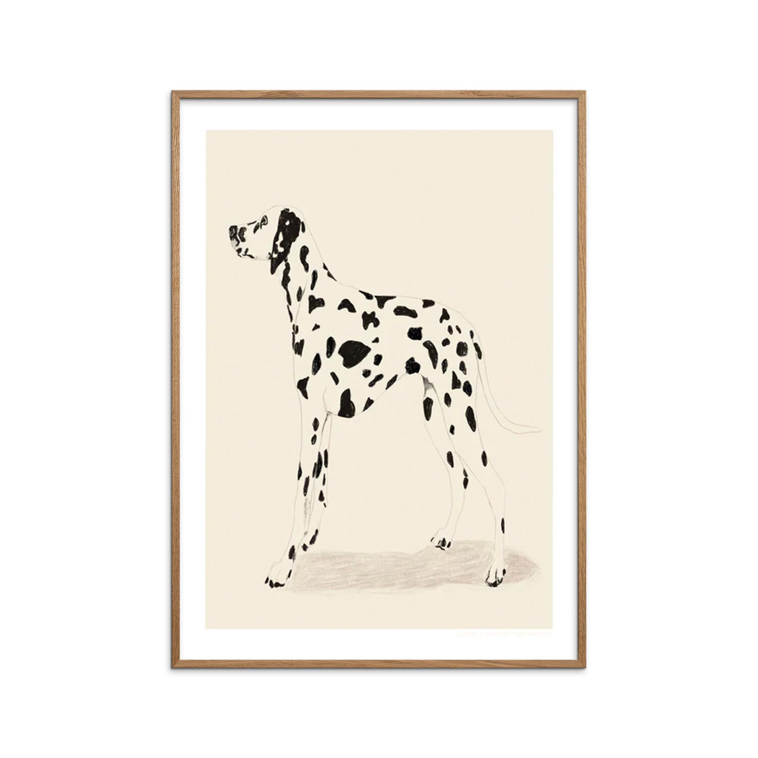 Dalmation plakat - 50 x 70 cm