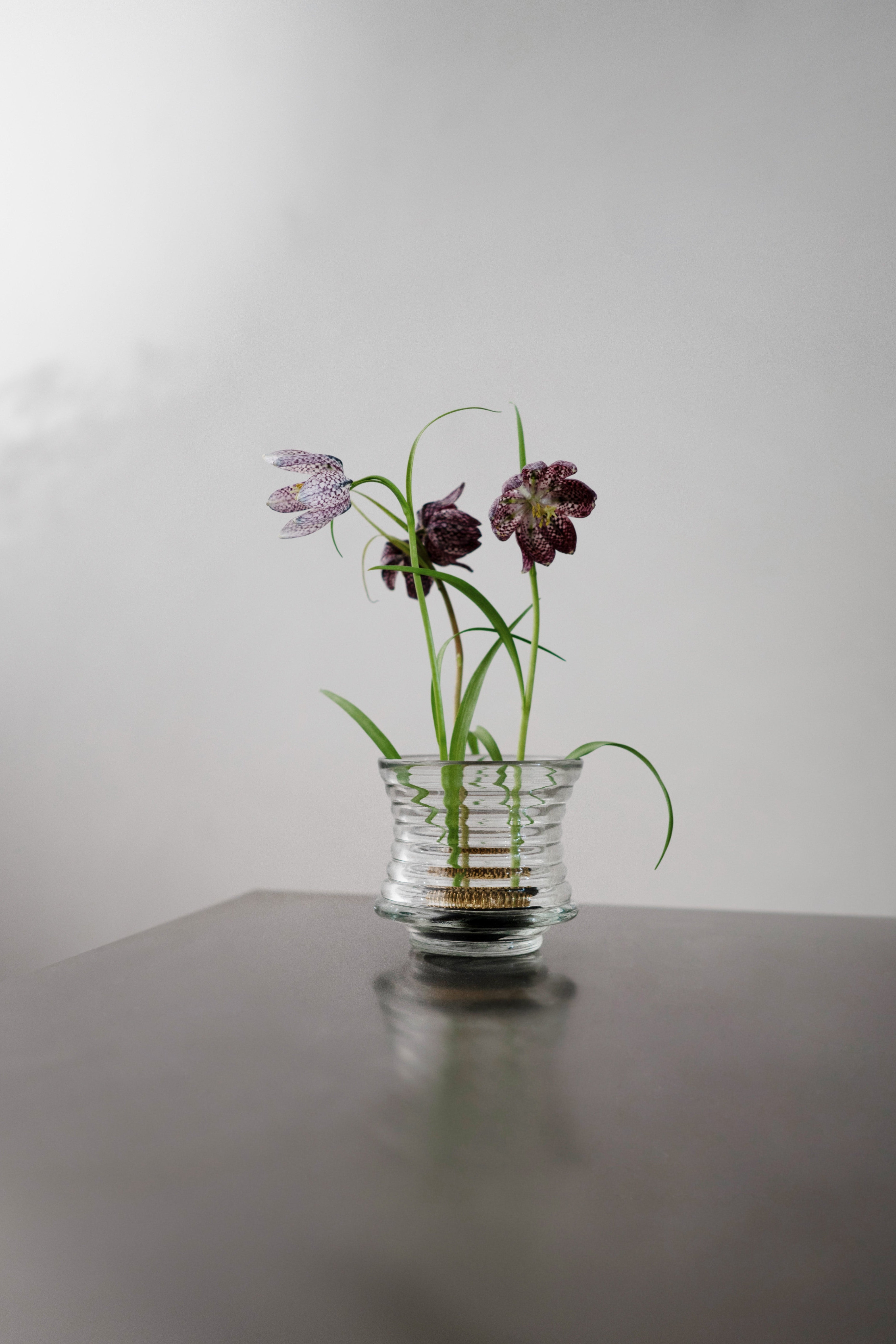 Kenzan blomsterholder - 60 mm.