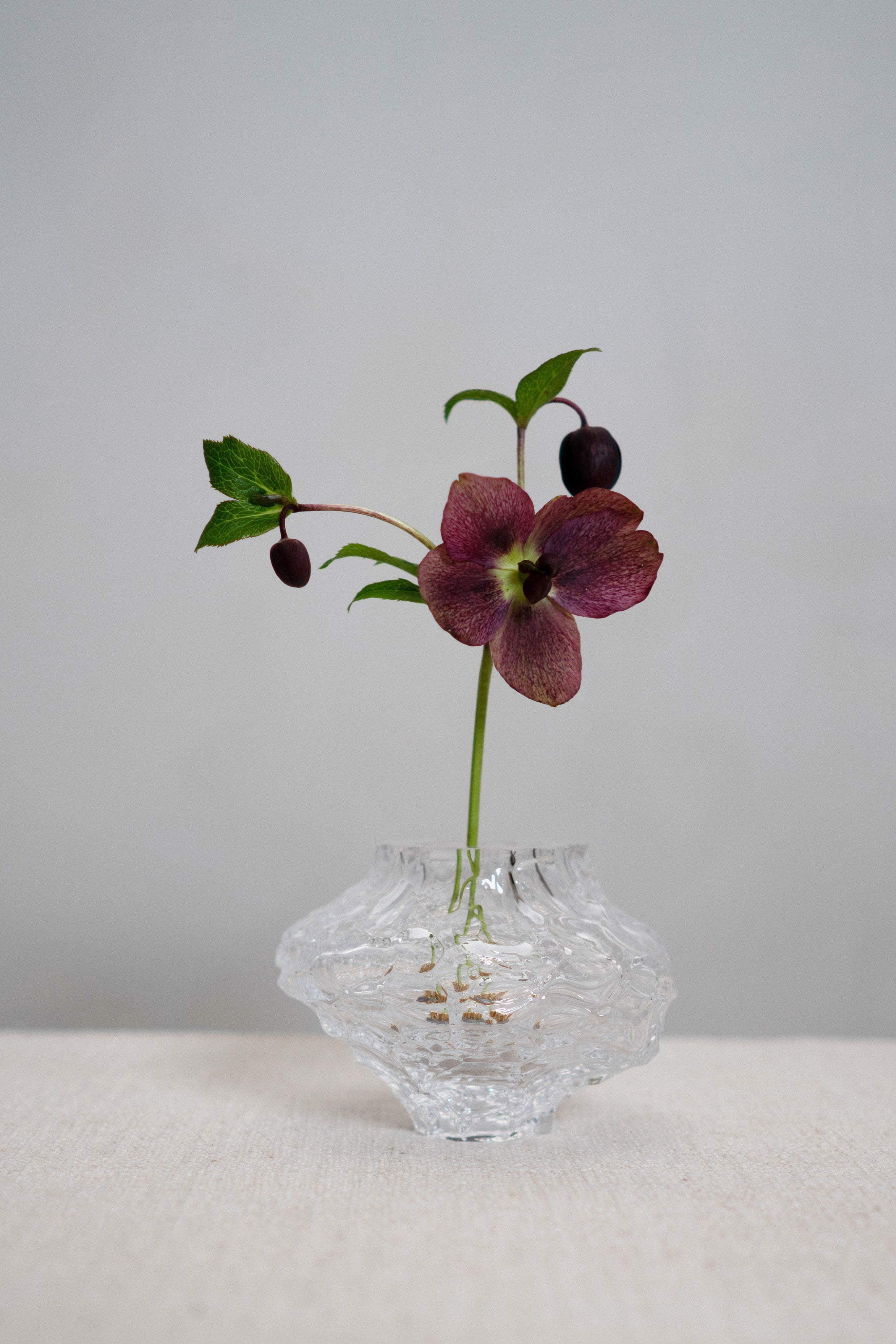 Kenzan blomsterholder - 23 mm.