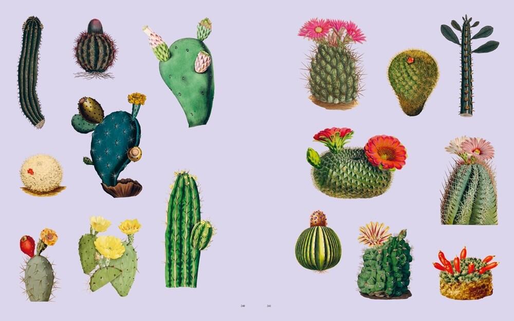 Extraordinary Things klistermærkebog