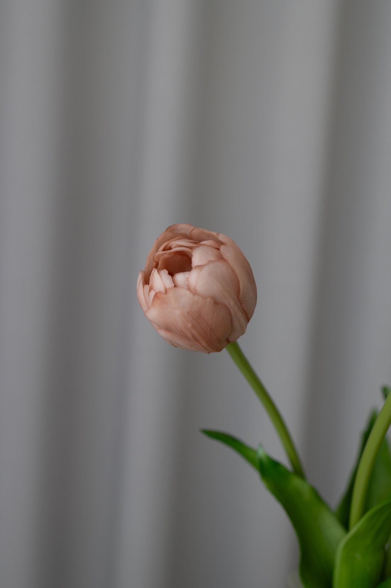 Layered kunstige tulipaner – beige