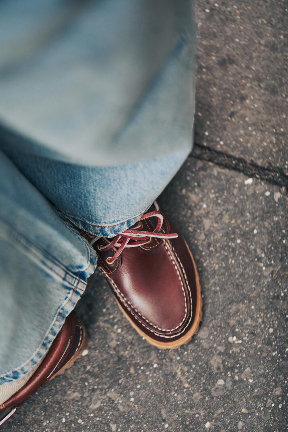 Noreen sejlersko - brun