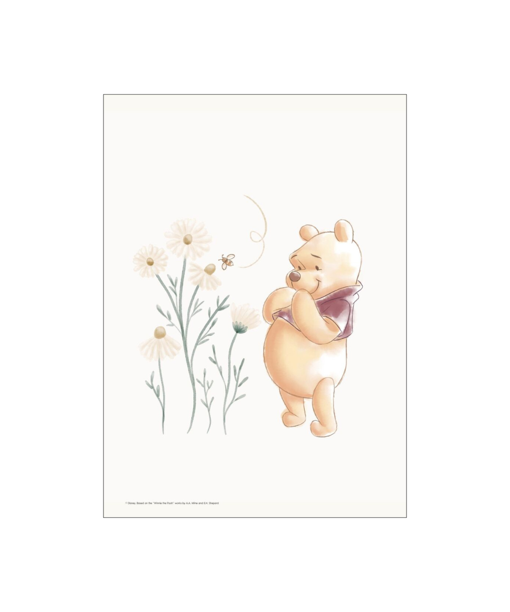 Disney Winnie the Pooh with Daisies plakat - A3