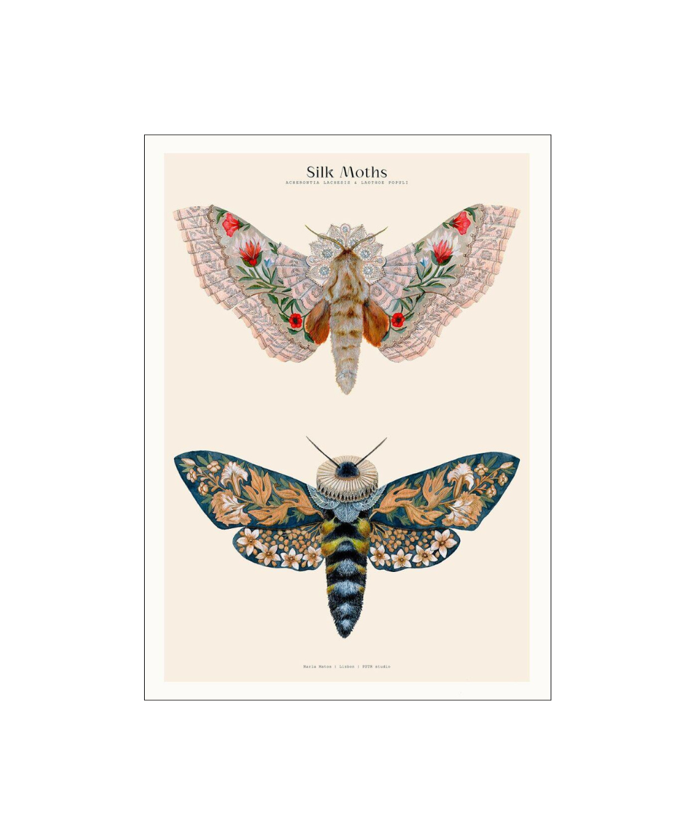 PSTR Studio Matos - W. Morris inspired - Silk Moths no. 03 plakat