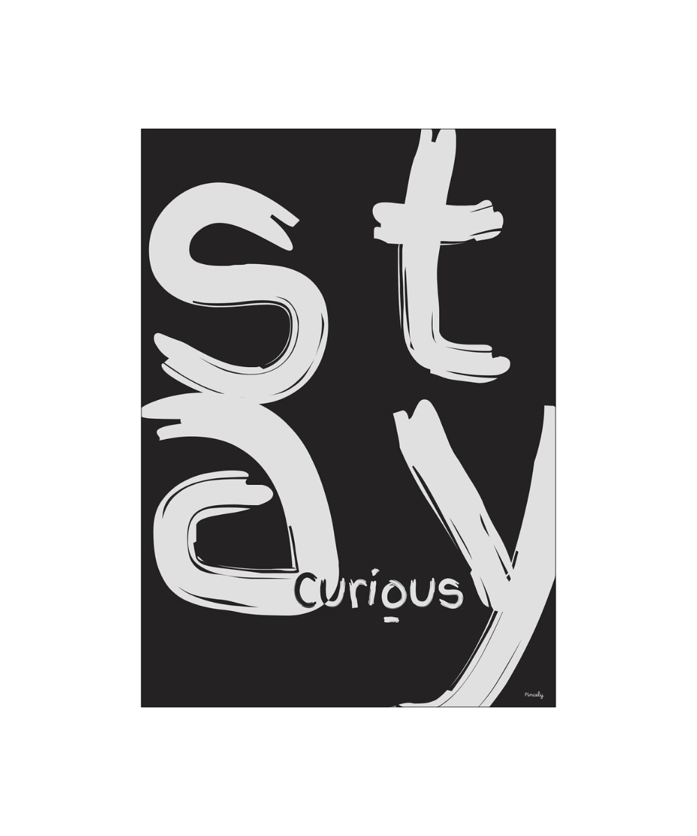 Pincely Stay Curious Black plakat - 30x40 cm
