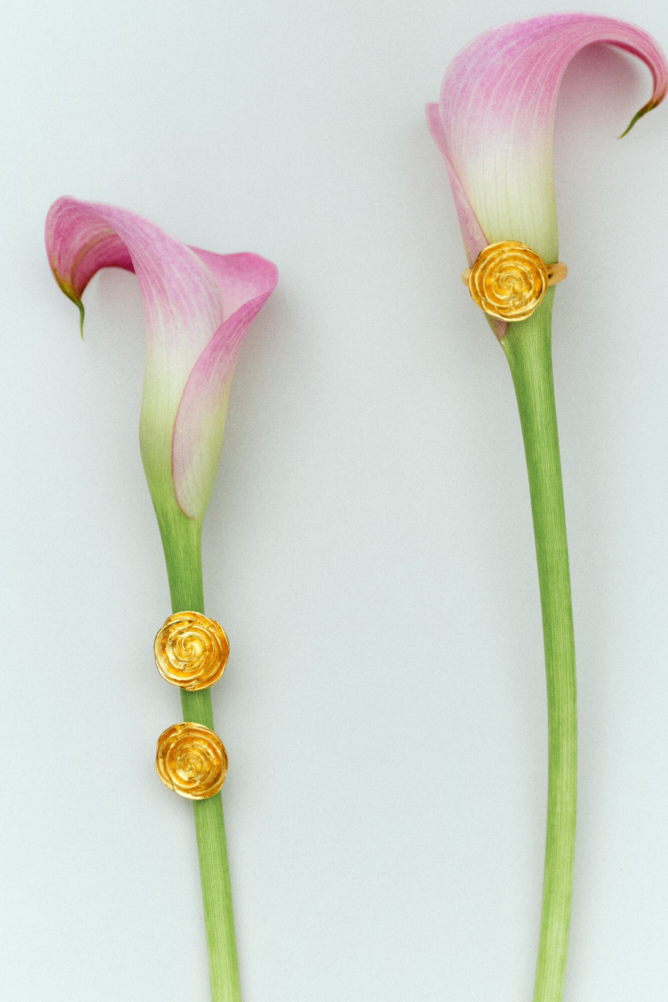 Rose ørestikker - forgyldt