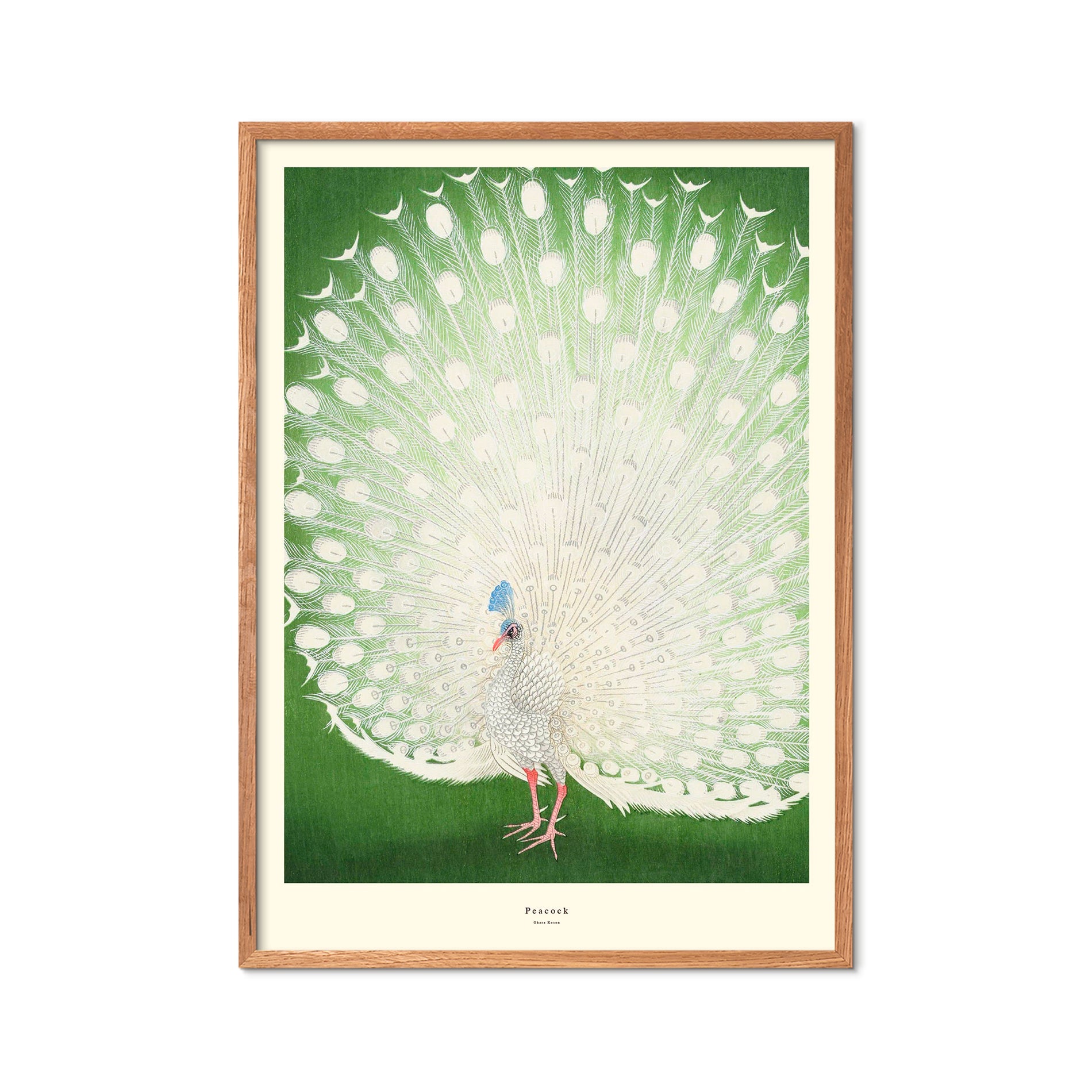 Peacock plakat