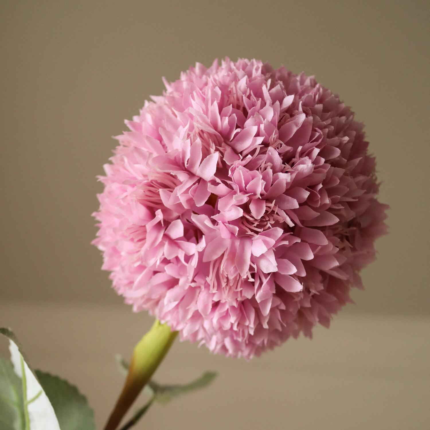 Allium Azureum Bulb kunstig blomst - pink