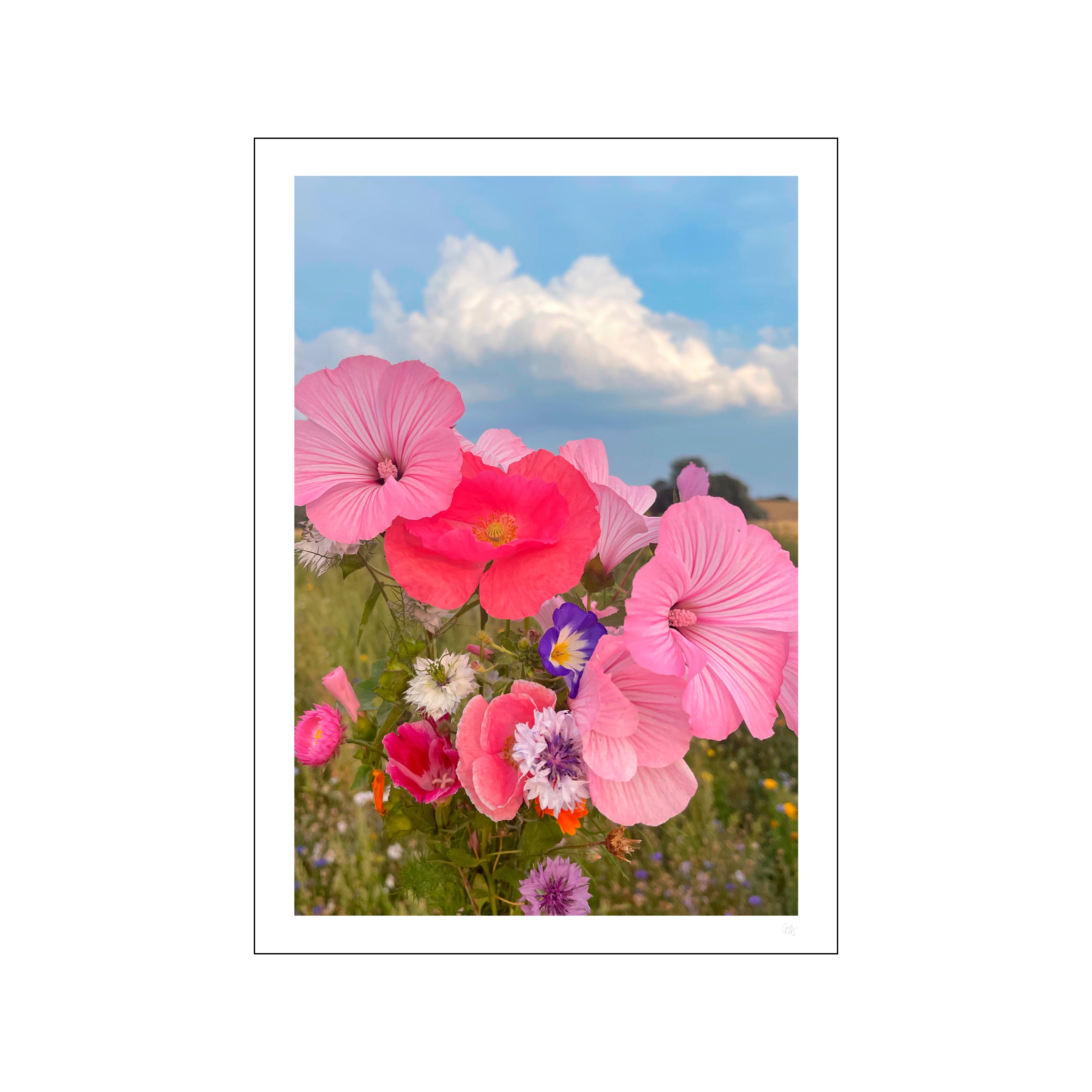 Poppykalas Sommerhus blomster plakat - A3
