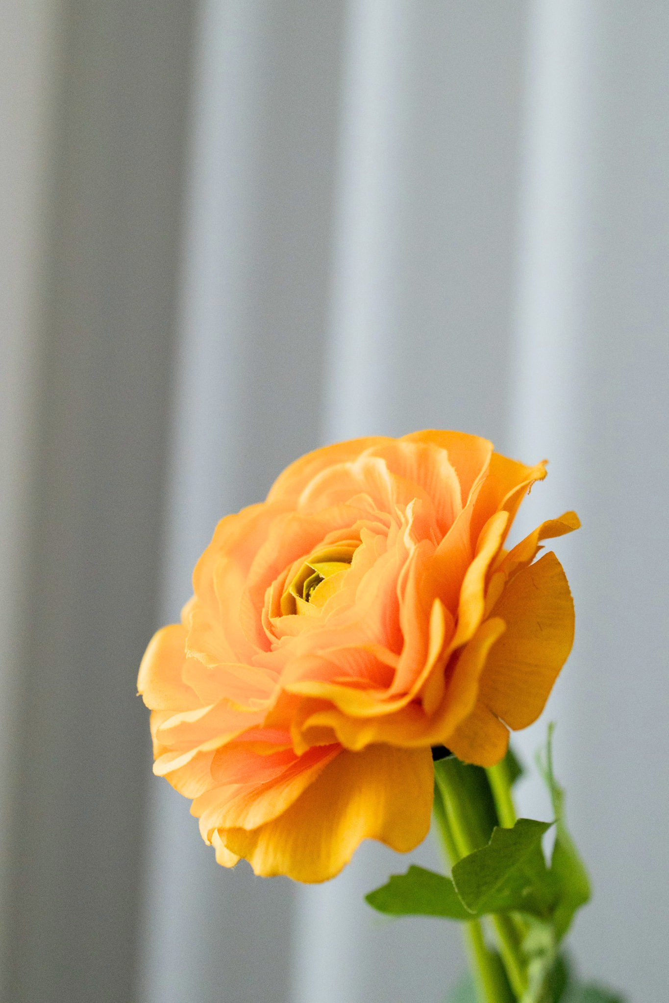 Kunstig ranunkel - Soft Orange