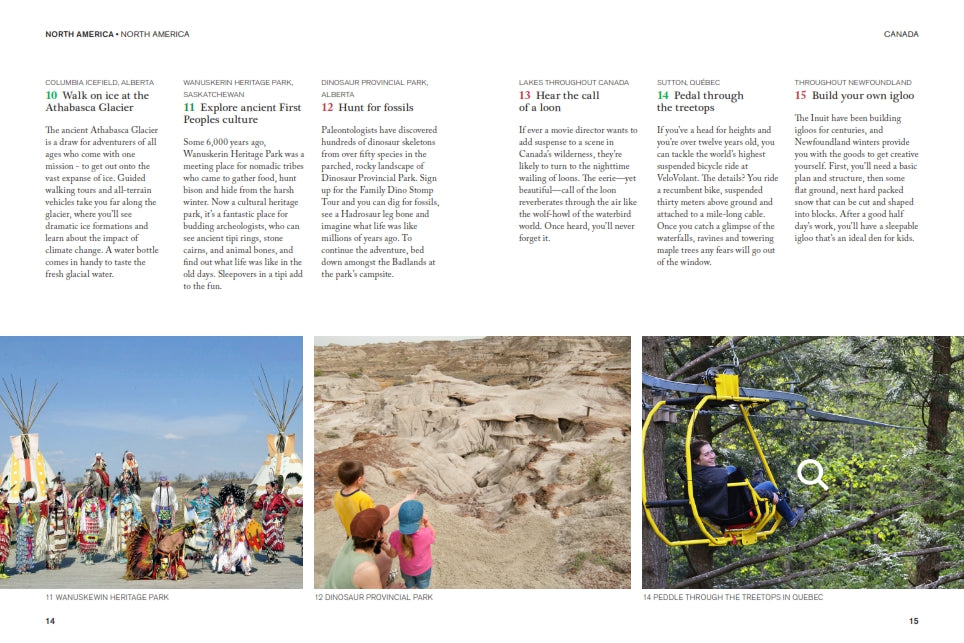 The Family Bucket List bog