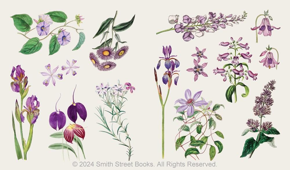 Blooms and Butterflies klistermærkebog