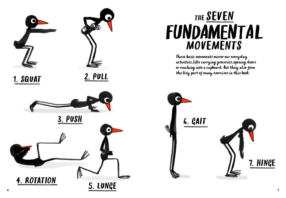 How to be a Fit Bird bog