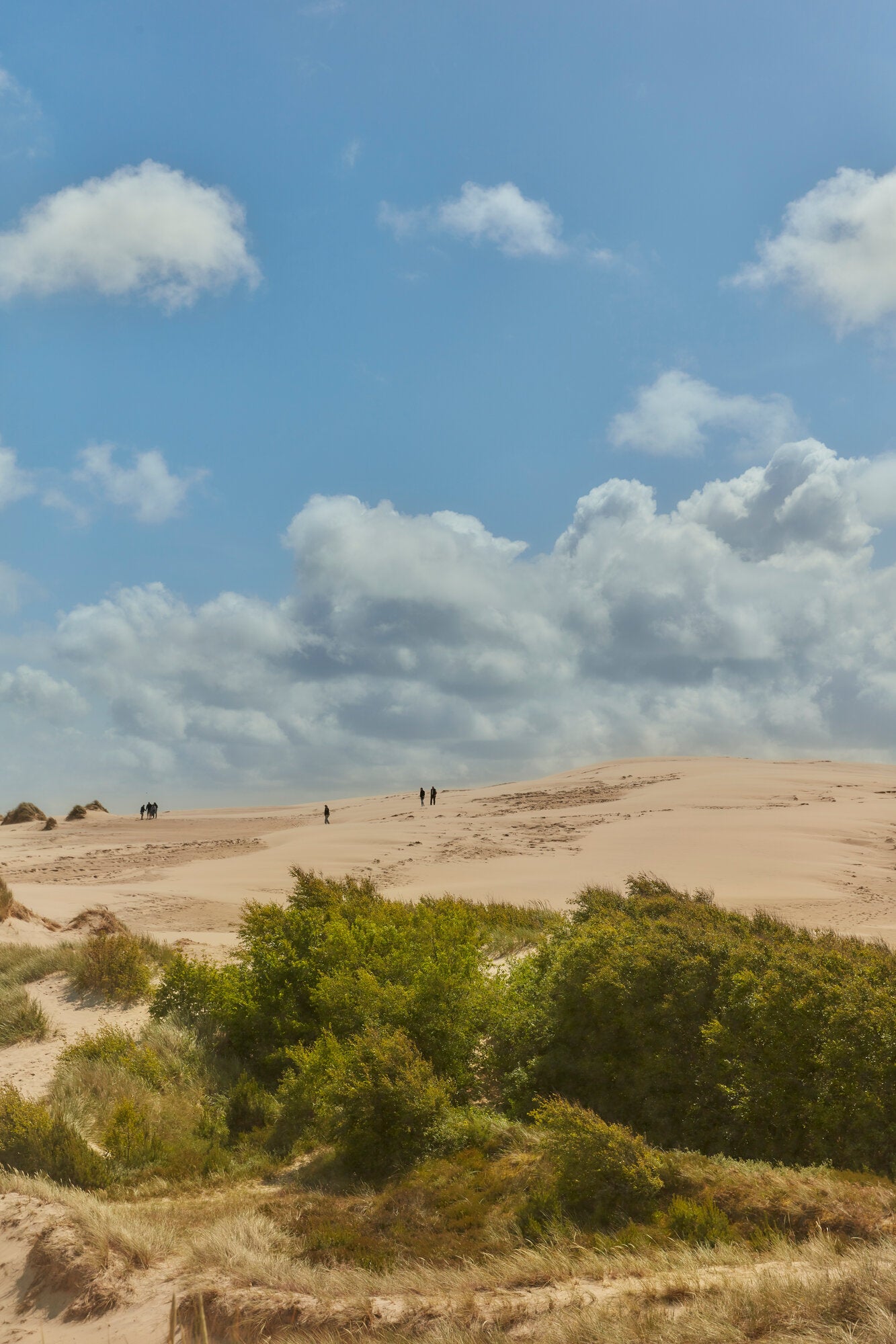 Getaways to slow living in Denmark bog