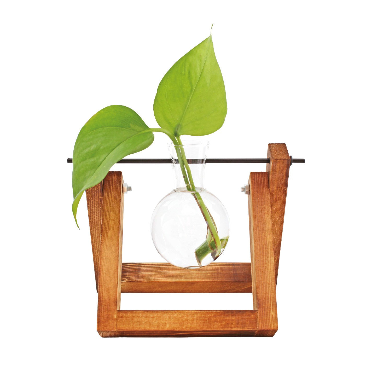 Hydro Lilly Vase - natur/klar