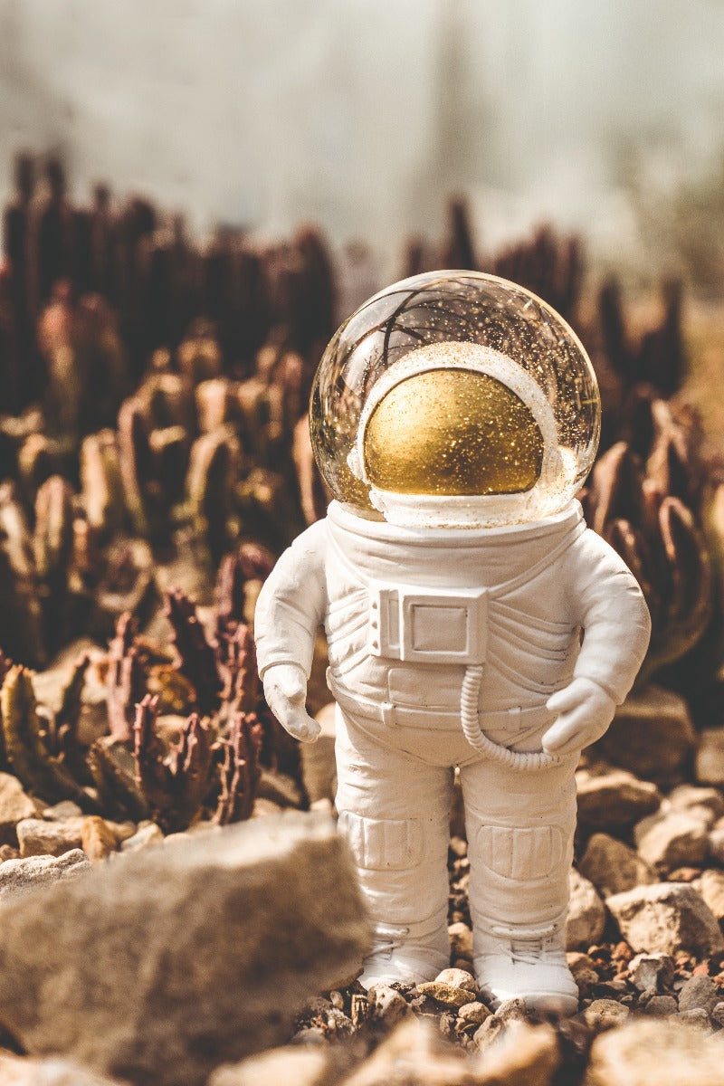 Donkey Snekugle - summerglobe (the astronaut) - Bahne