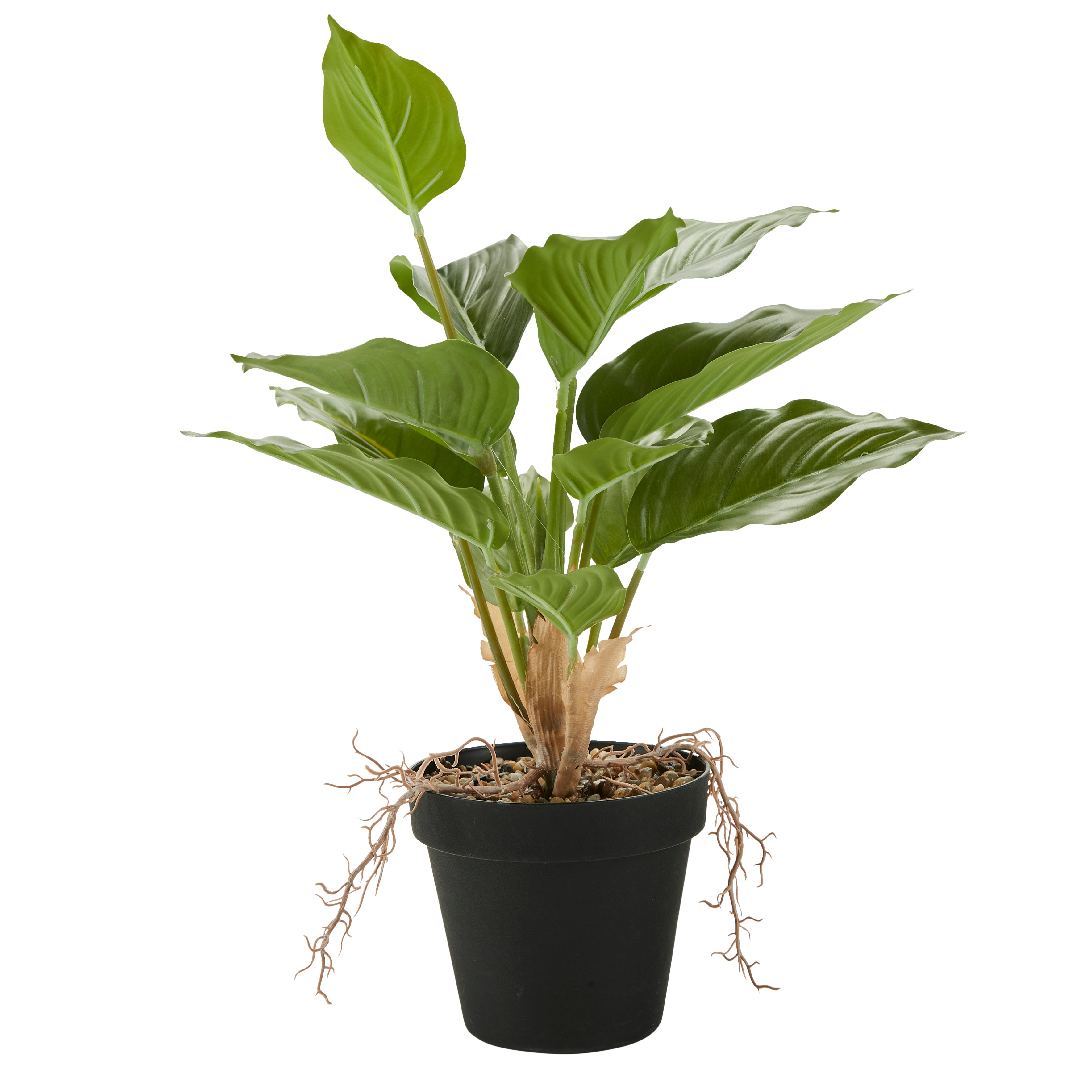 Bahne Interior Fishbone kunstig plante - Bahne