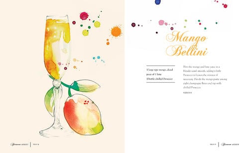 New Mags Spritz fever bog - Bahne