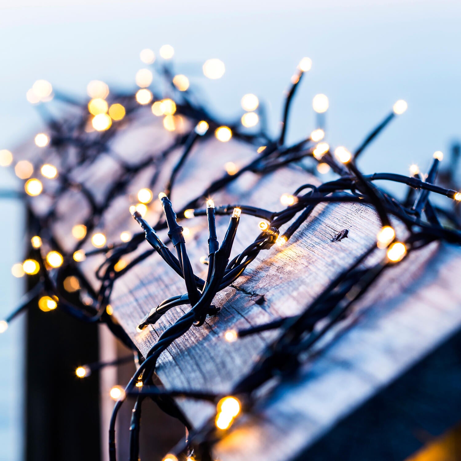 Top-line Krabbe Startsæt - 200L