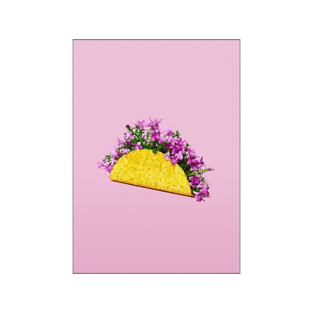 Poster & Frame Supermercat plakat, Flower taco - 30x40 cm. - Bahne