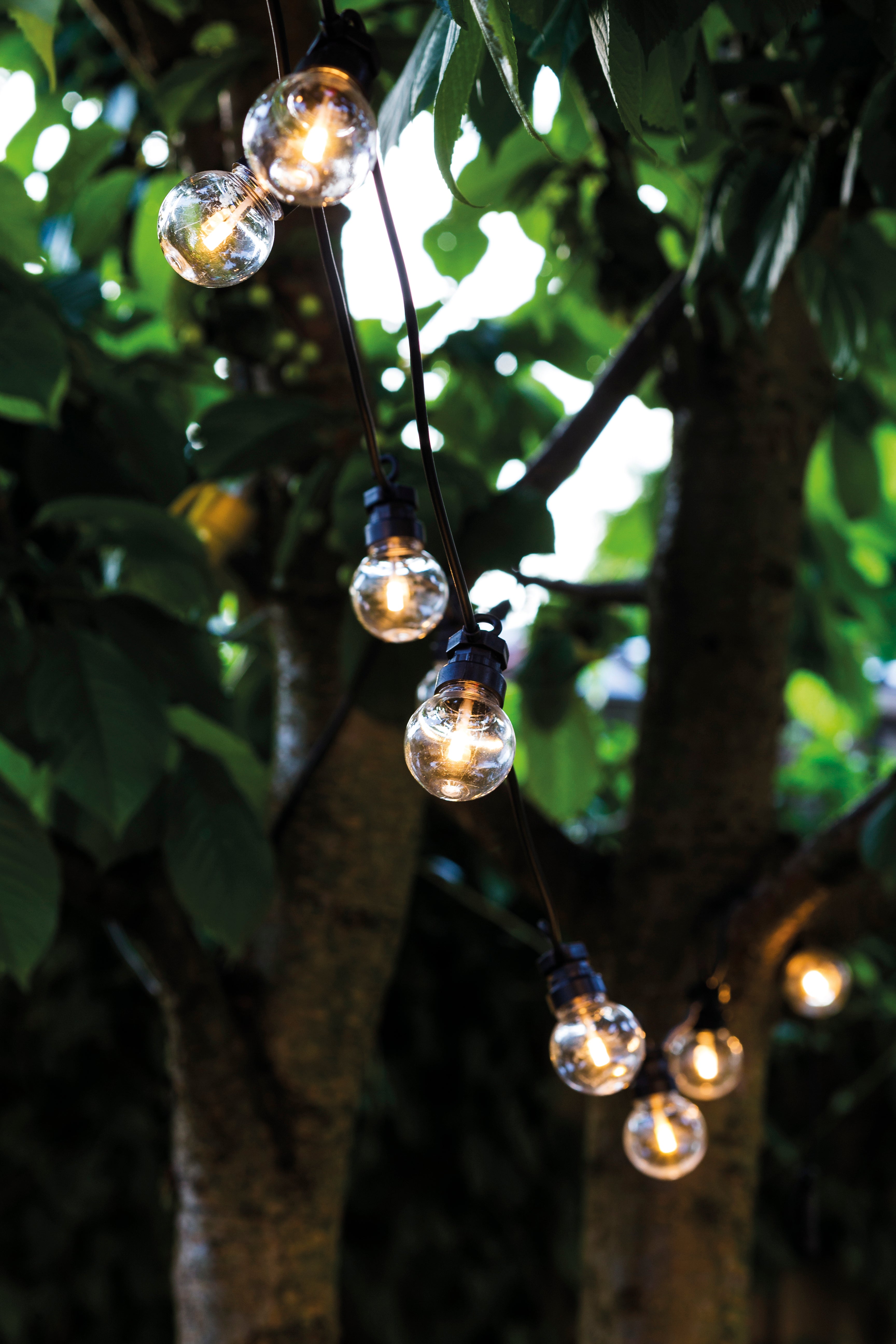 Lucas Startsæt, 10 pærer - klar/sort