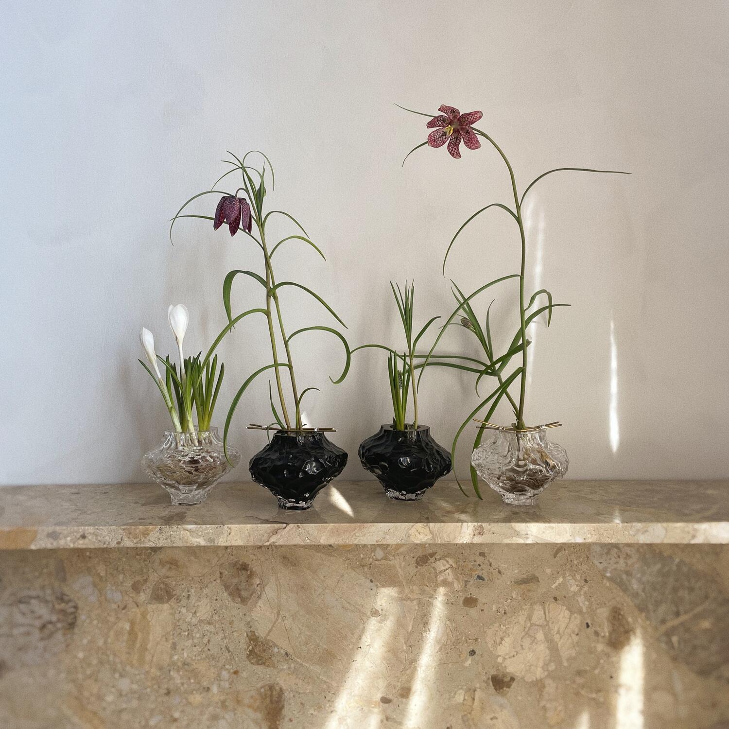 Canyon Mini - New Smoke