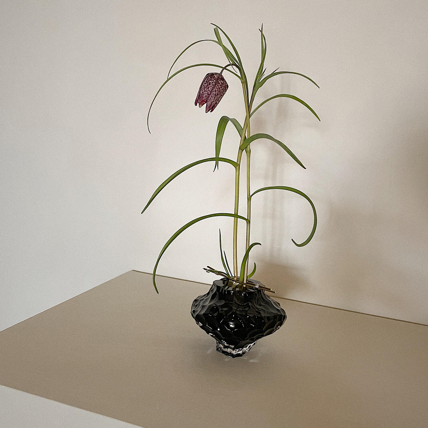 Canyon Mini - New Smoke