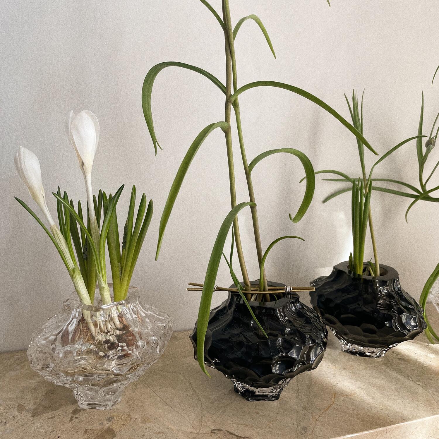 Canyon vase, lille - klar