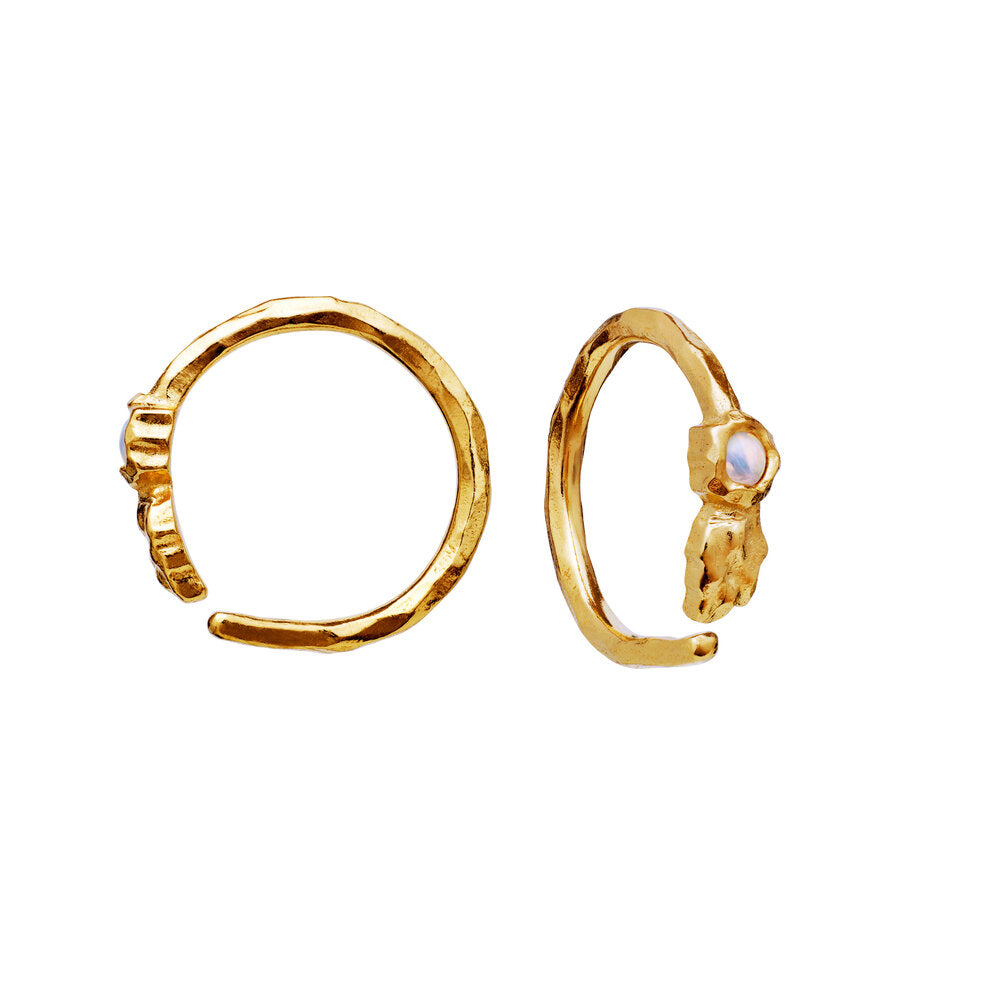 Florus creoler - forgyldt