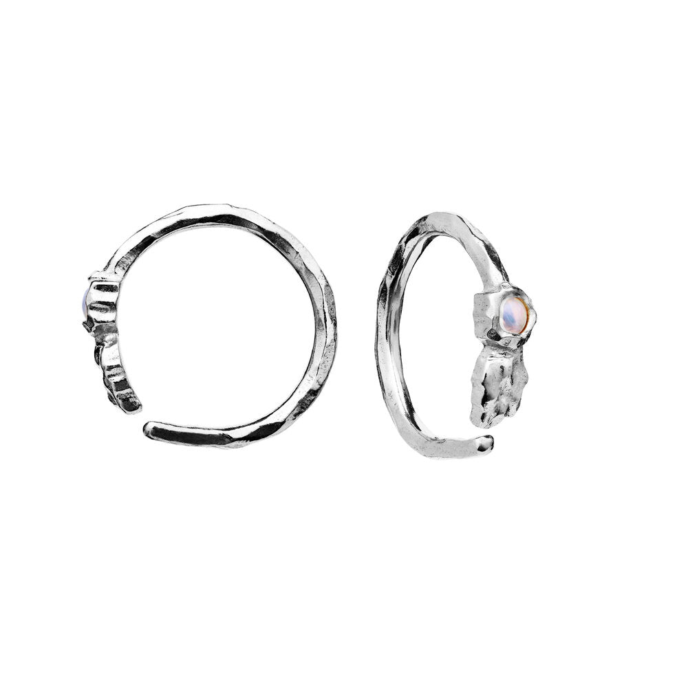 Florus creoler - sølv