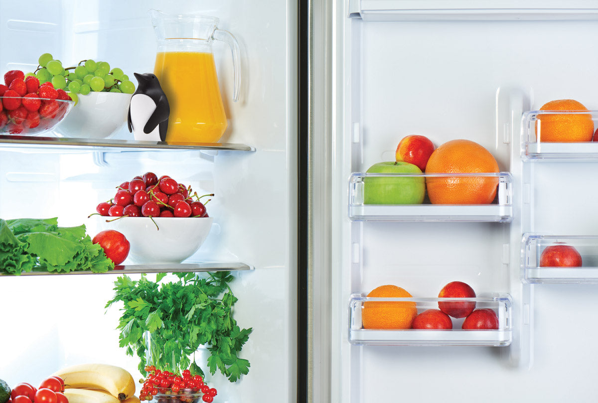 Chill Bill lugtfjerner til køleskab - Hvid/sort