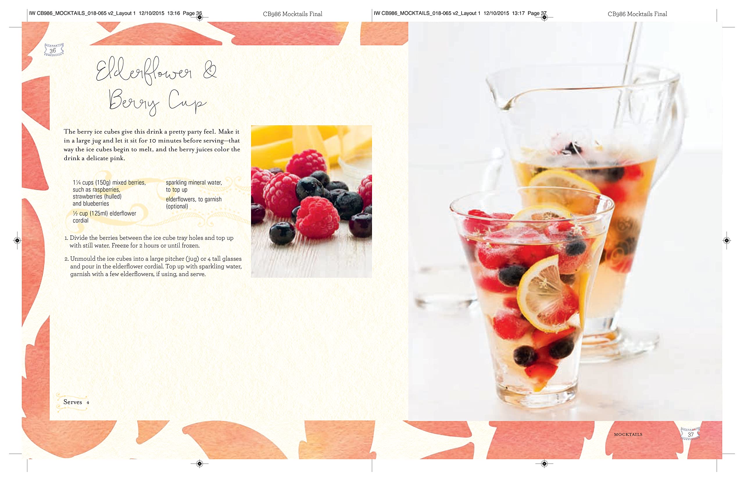 Mocktails - Cordials, Syrups, Infusions and More bog