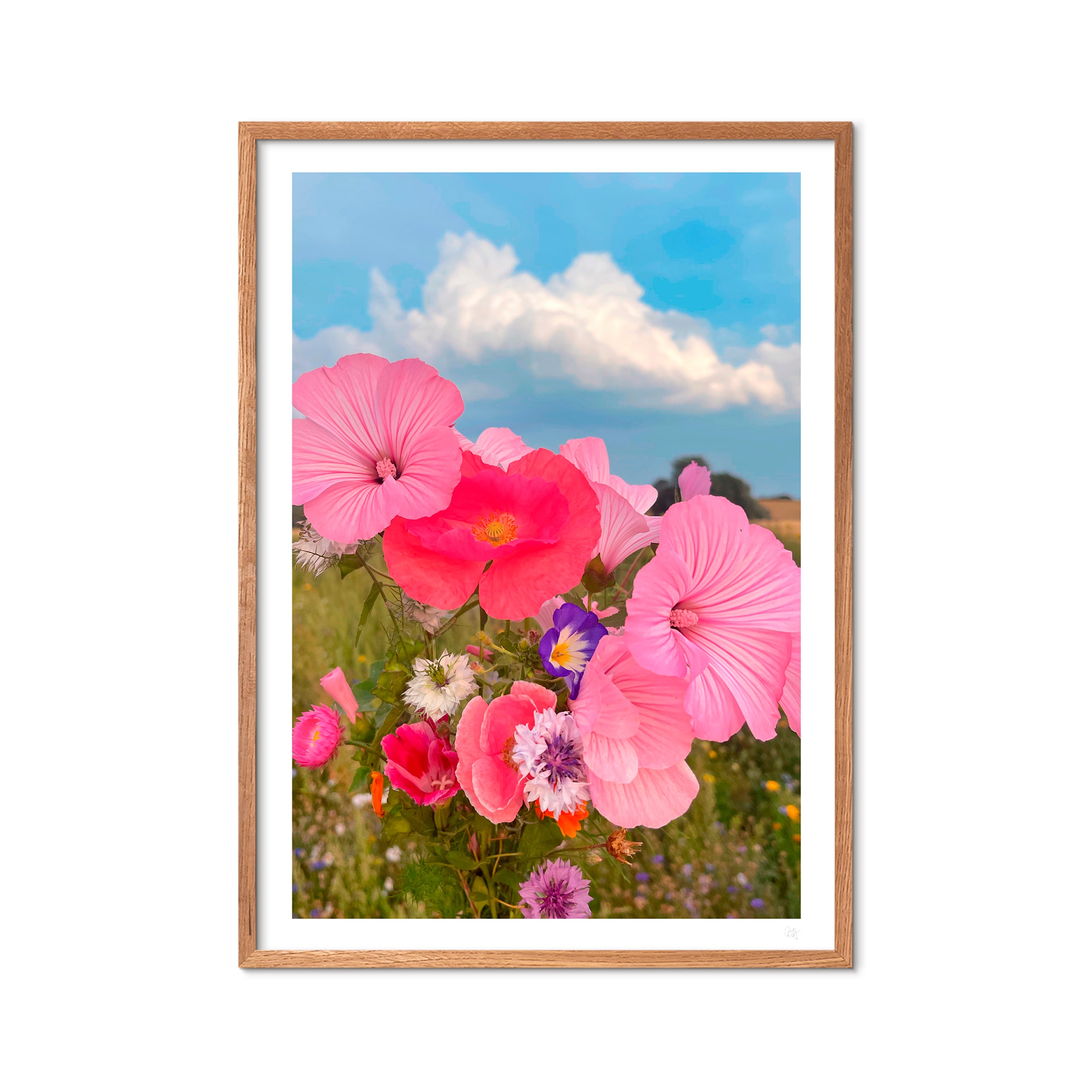 Poppykalas Sommerhus blomster plakat - A3