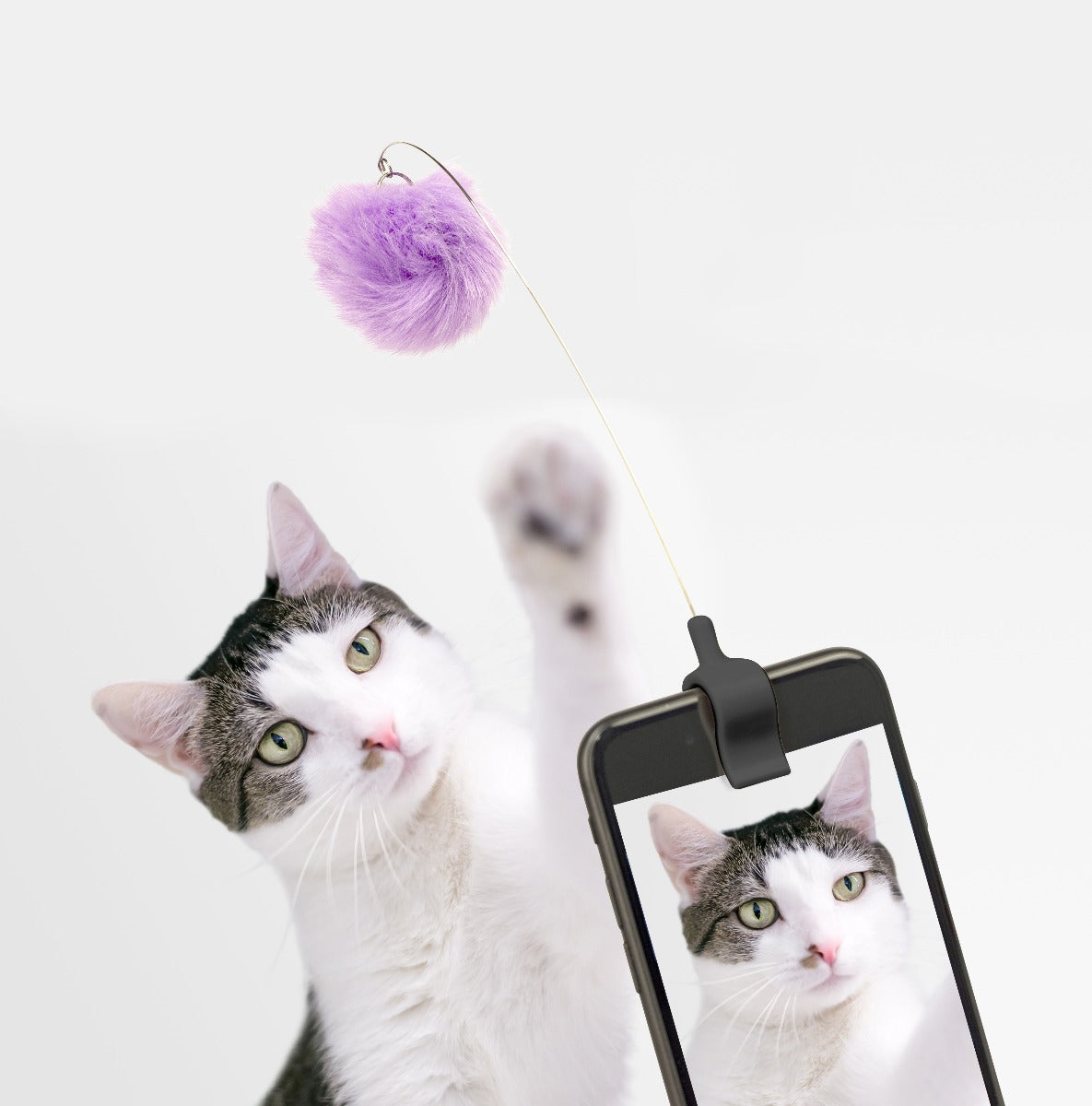 Kikkerland Kitty phone klips - multi - Bahne